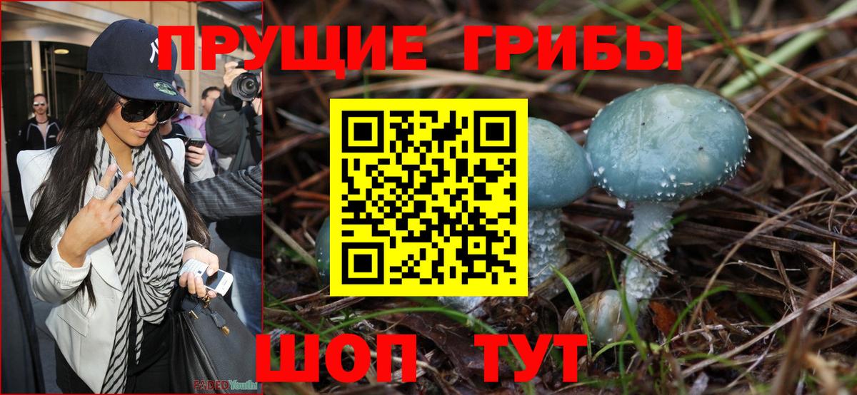 Галлюциногенные грибы мицелий Малгобек